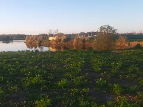 Terreno en Venta en Countries y Barrios Cerrados en Berazategui, USD 124.000