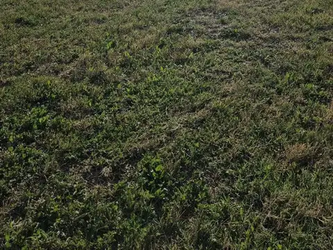 Terreno en Venta en Countries y Barrios Cerrados en Berazategui, USD 124.000