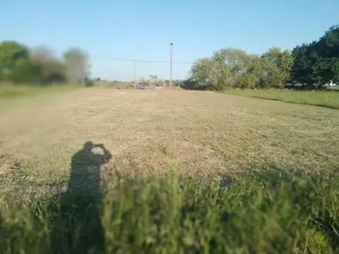 domingo Faustino Sarmiento