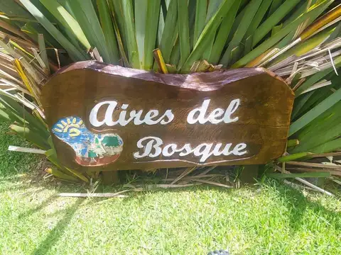 PUNTA DEL INDIO al 1200