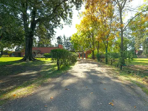 Jose ingenieros 8000