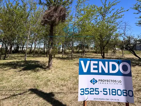   VENTA DE LOTES – BARRIO LOS ALGARROBOS, SINSACATE