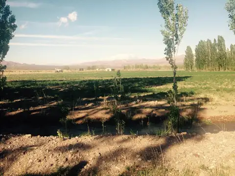 Terreno en  Uspallata