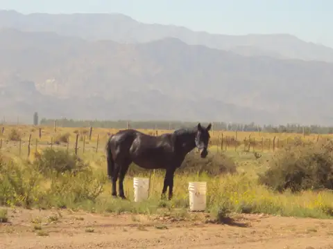 Terreno en Venta de 31320,0 m2