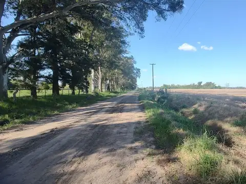 Venta Campo Cortinez Lujan