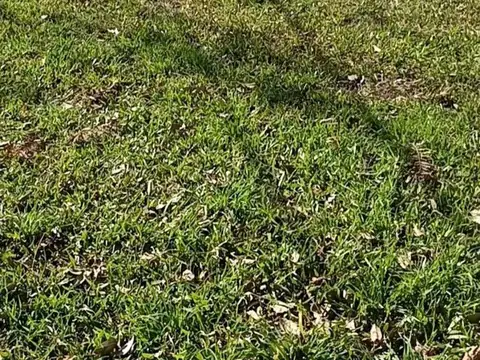 Terreno en Venta en Santo Tome, USD 170.000