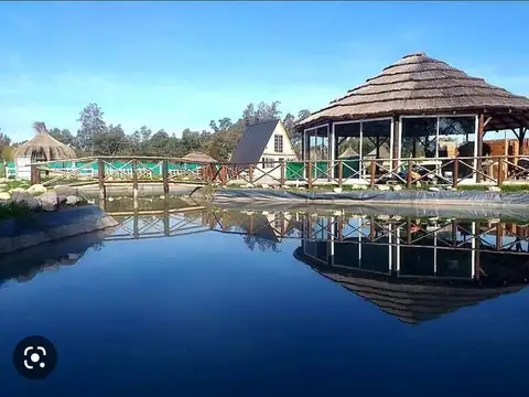 Mar Del Plata Y Pigüé