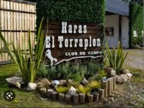 Mar Del Plata Y Pigüé