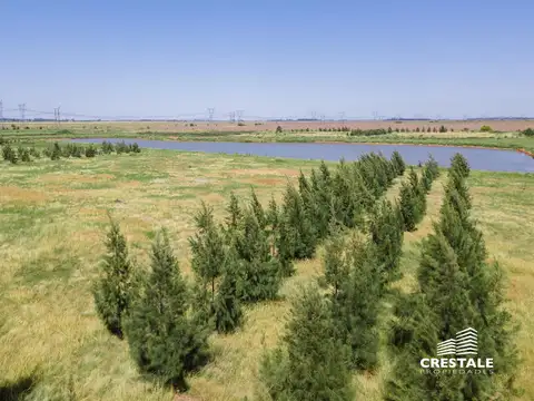 Campo en venta - Haras de Funes