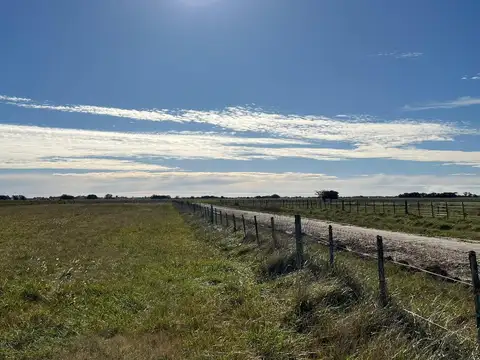 Campo en venta - 50 Hectáreas - General Madariaga
