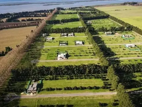 Azahares del Parana - Barrio de los Sentidos 'BSE- 16