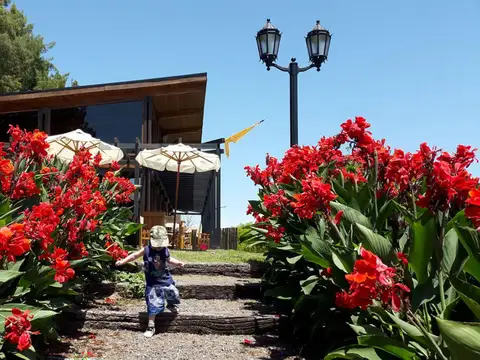 Terreno en Venta 40  mts Fondo