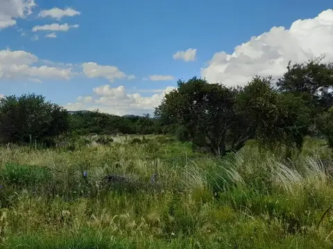 Terreno en Venta de 1000,0 m2