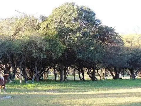 Terreno en Venta en Merlo, USD 60.000