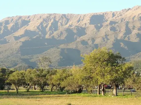 Las Artes y Mundial 78