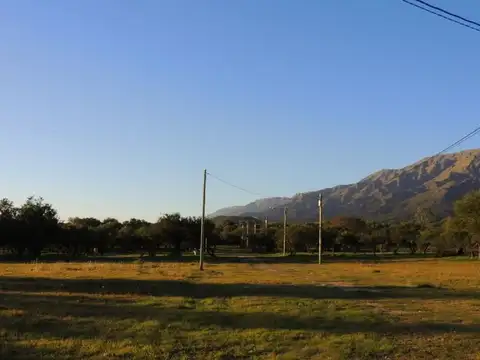 Las Artes y Mundial 78