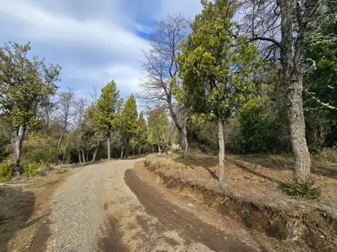 Terreno en Venta de 10000,0 m2