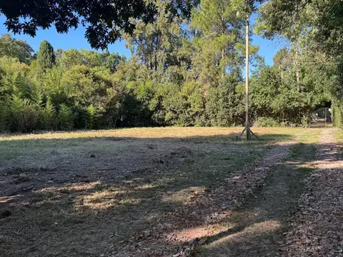 Terreno en Venta 38  mts Fondo