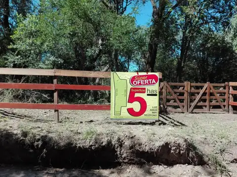 SE VENDE TERRENO DE 5 HECTAREAS EN "LAS CALLES "