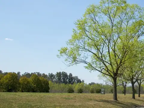 Terreno en Venta en Lujan, USD 43.000