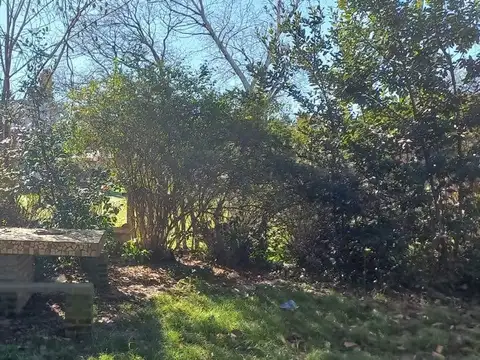 Las Margaritas y los Jazmines