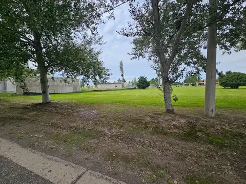 VENTA LOTE DE 1000 M2 EN PINARES DEL SUR PIÑERO