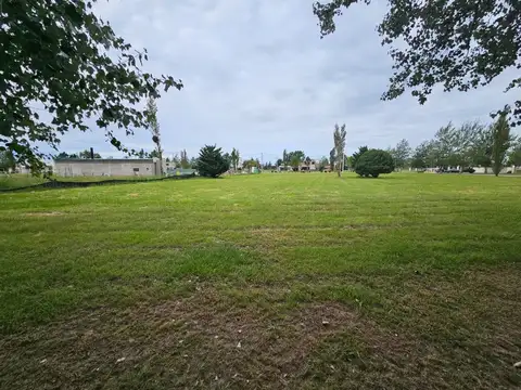 VENTA LOTE DE 1000 M2 EN PINARES DEL SUR PIÑERO