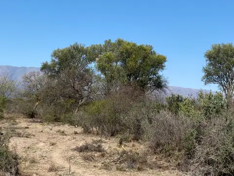 zona Cañada la negra