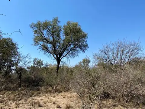 Campo en Venta Mixto