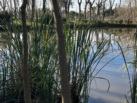 Casa en Venta en Countries y Barrios Cerrados en Pilar, USD 1.150.000