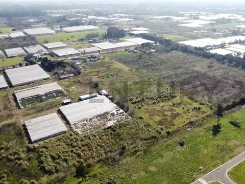 venta de campo en city bell