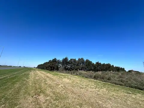 Brigadier General Manuel Oribe 8700