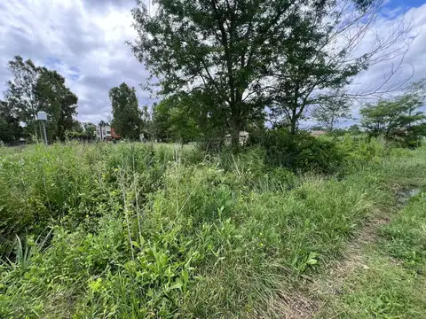 Terreno en Venta en Arturo Segui, USD 62.000