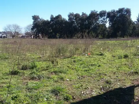 Terreno en Venta de 30000,0 m2