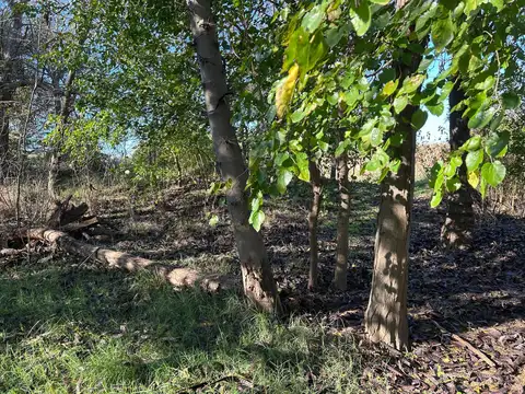 Héroes de Malvinas N°30