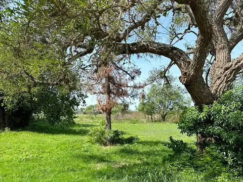 Avenida de los Inmigrantes