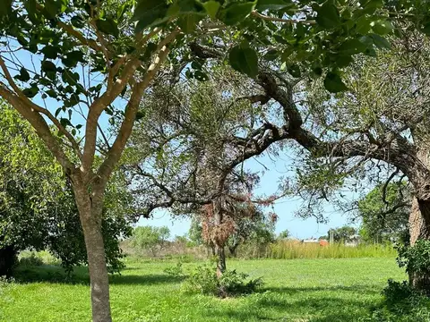 Avenida de los Inmigrantes