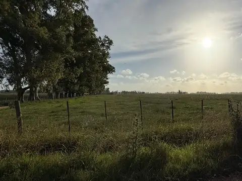 Terreno en Venta 15  mts Frente