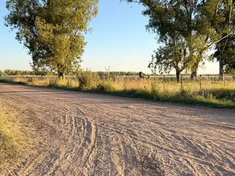 Loteo en el campo en el apacible y encantador pueblito de Salvador María, Segunda Circunvalación y calle 13