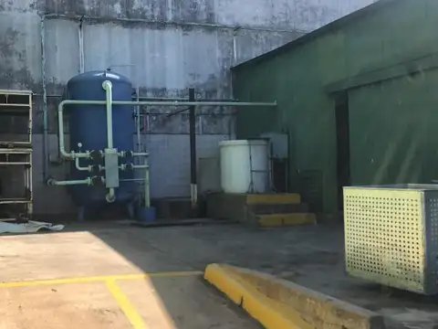 Carlos Pellegrini 1264. Flor