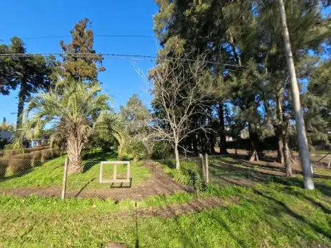 Terreno en Venta de 565,0 m2