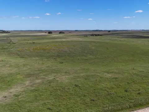 Campo en Venta de 96  ha