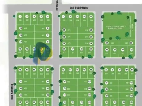 Los Tulipanes y  Ruta 25