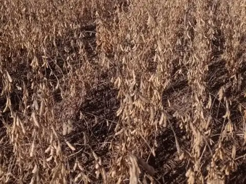 Ruta 7 , Piso No definido