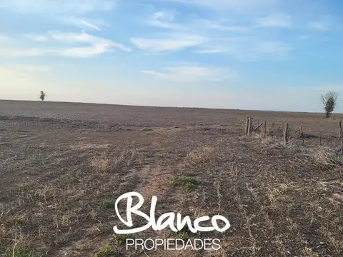 Campo Santa Rosa - La Pampa -