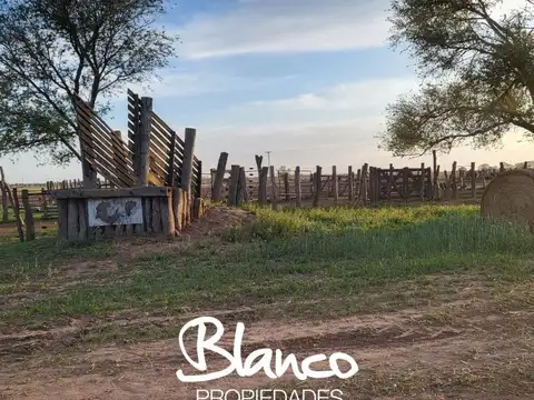 Campo  en Venta en Santa Rosa, La Pampa Capital, La Pampa