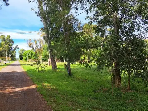 Lote en barrio cerrado El Moro  (Mza 105 Lote1)