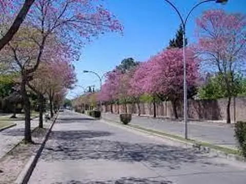 Terreno en Venta de 205,0 m2