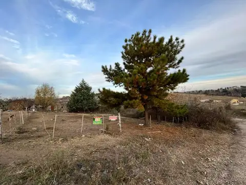 Yacanto dos lotes. (2170)