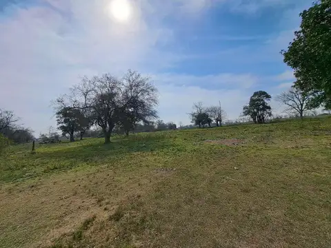 Mercedes Y Las Orquideas, Monte Grande